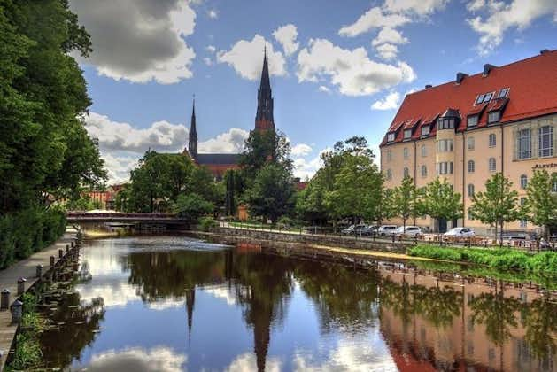 Excursion privée d'une demi-journée à Uppsala et Sigtuna