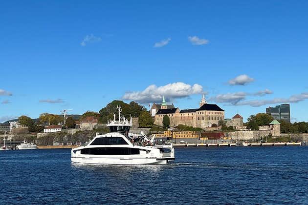 Tour della città di Oslo, con il museo Fram o il museo Kon-Tiki