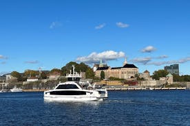 Oslo City Highlights with Fjord Cruise 