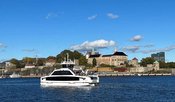Oslo City Highlights with Fjord Cruise 