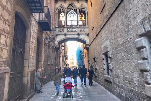 Barcelone en un jour pour les enfants et les familles avec la Sagrada Familia et la zone gothique