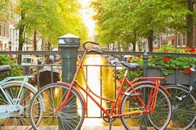 Amsterdam City Center & History - Exclusive Guided Walking Tour 