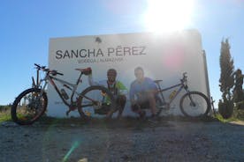 Tour in mountain bike Conil de la frontera Tour in bici del vino