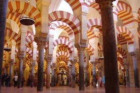 Cordoba och dess moskétur från Granada