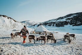 北極フィヨルドとトナカイ体験 ～少人数グループツアー～