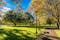 photo of autumn in a sunny day at Ferrera Park in Aviles, Spain.