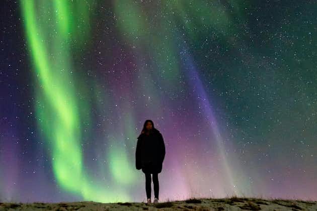 Excursion d'une journée en Islande sur la côte sud et les aurores boréales au départ de Reykjavik