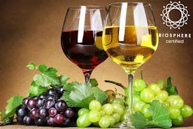 Madeira vínsmökkun + vínekrur og Skywalk í 4x4 heilsdagsferð