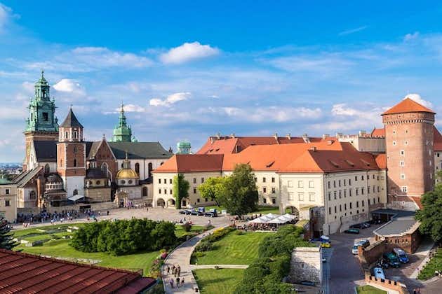 Cracovie: visite guidée du château de Wawel et de la cathédrale
