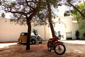 Visite privée en tuk tuk des oliveraies millénaires à Ostuni