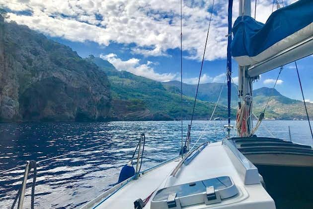 Excursión de Medio Día en Velero por la Costa