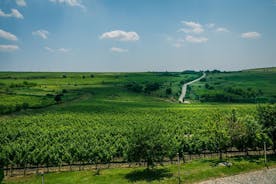Visite de la région viticole de Dealu Mare - déjeuner inclus