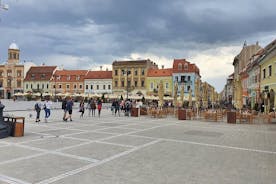 Bran Castle, Peles Castle en Brasov City - privétour vanuit Boekarest