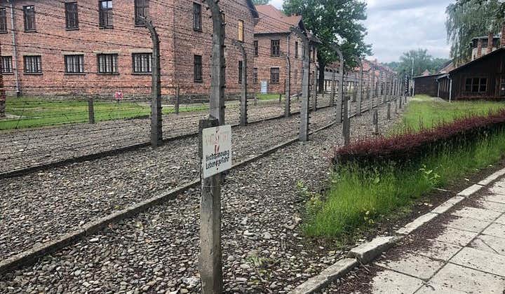 Tour guidato di 1 giorno di Auschwitz-Birkenau Memoriale e Museo da Cracovia