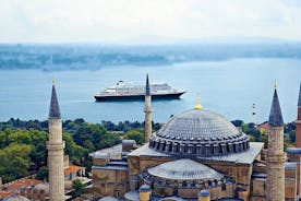游轮/酒店的伊斯坦布尔私人旅游