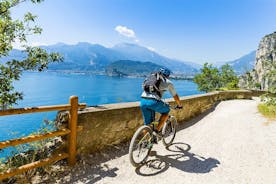 Lake Garda: one day private E-bike tour