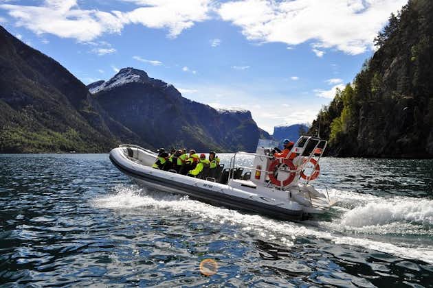 Private guided day tour to Flåm - incl RIB Sognefjord Safari and Flåm Railway 