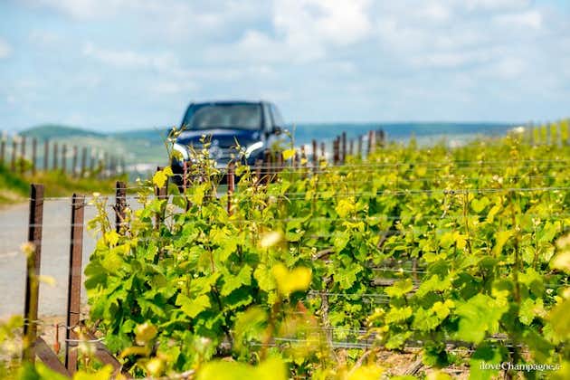 Reims eller Epernay-regionen: Halvdags privat tur minivan og chauffør til rådighed