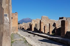 Tre timers guidet tur i Pompeii med en arkeolog