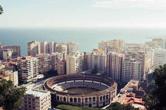 Malaga architettonica: tour privato con un esperto locale