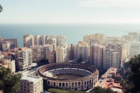 Málaga arquitectónica: tour privado con un experto local