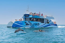 Crucero de medio día de avistamiento de delfines desde Lagos