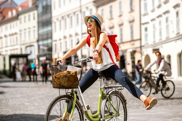 Privat sykkeltur i Wiens toppattraksjoner og natur