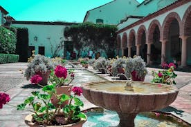 The best of Córdoba private tour