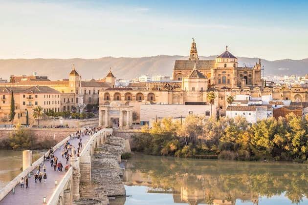 Flerdages privat tur: Cordoba, Granada og Sevilla fra Malaga