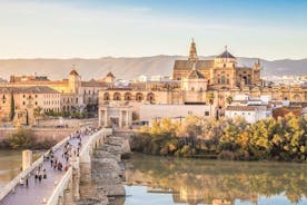 Mehrtägige private Tour: Cordoba, Granada und Sevilla von Malaga