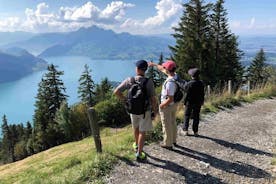 Private Guided Hike on Mt. Rigi with Farm Visit and BBQ 