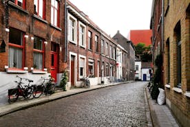 Promenade surprise de Bruges avec un local