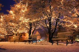 Speciale magische kersttour in Boedapest
