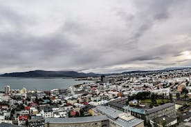 Tour en hélicoptère : ville de Reykjavik avec atterrissage au mont Esja