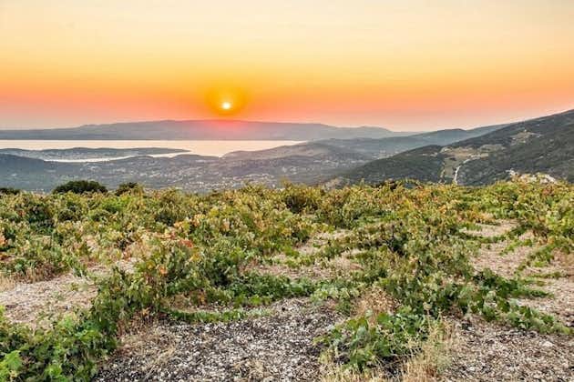 Full-Day Wine Tasting Tour in Athens with Visit to Cape Sounio