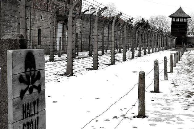 Fra Krakow: Auschwitz-Birkenau regelmæssig tur - privat chauffør