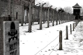 Vanuit Krakau: reguliere tour Auschwitz-Birkenau - privéchauffeur