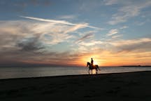Horseriding tours in Trapani, Italy