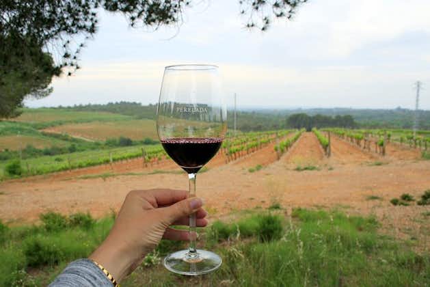 Barcelona Countryside Fullday Wine&Cava Tour with Lunch