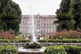 Day Trip from Naples: Royal Palace of Caserta and Naples - private tour
