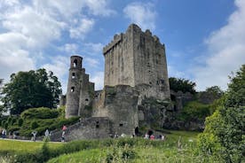 Privat tur til Blarney Castle, Jameson Distillery og Cobh