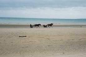 Tour privado de un día que incluye playas y campos de batalla de desembarco de Normandía desde Bayeux