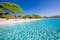 photo of sandy Santa Giulia beach with pine trees and azure clear water in Porto Vecchio, Corsica, France, Europe.