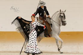 Spectacle équestre et flamenco à Malaga