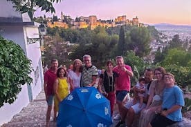 Guided tour of Albaicín, Sacromonte and viewpoints