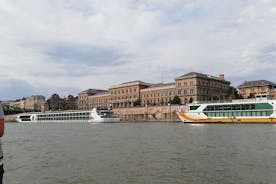 Trasferimento privato dall'aeroporto o dall'hotel di Budapest da o per il porto delle navi da crociera