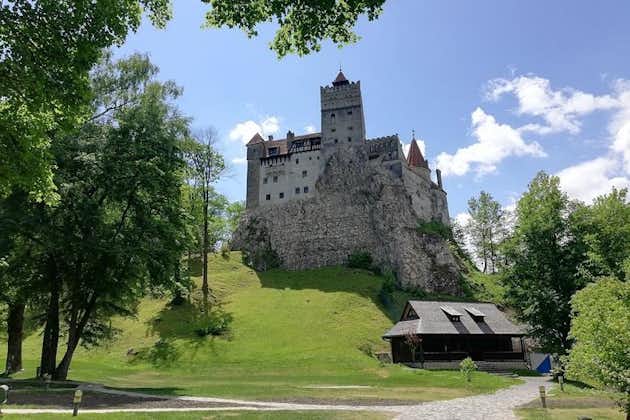 Private Guided Tour of Peles Palace and Bran Castle from Bucharest