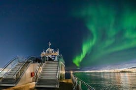 Northern Lights Dinner Cruise in Tromso