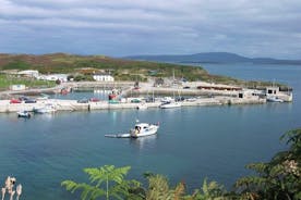 Explore Cape Clear island departing from Schull - Self-guided