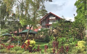 Safari Lodge Baguio by Log Cabin Hotel